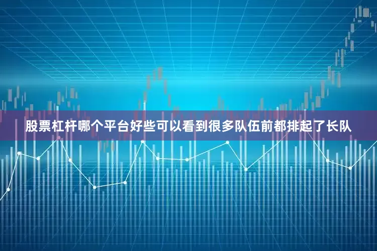 股票杠杆哪个平台好些可以看到很多队伍前都排起了长队