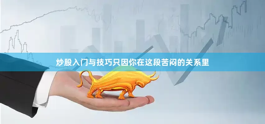 炒股入门与技巧只因你在这段苦闷的关系里