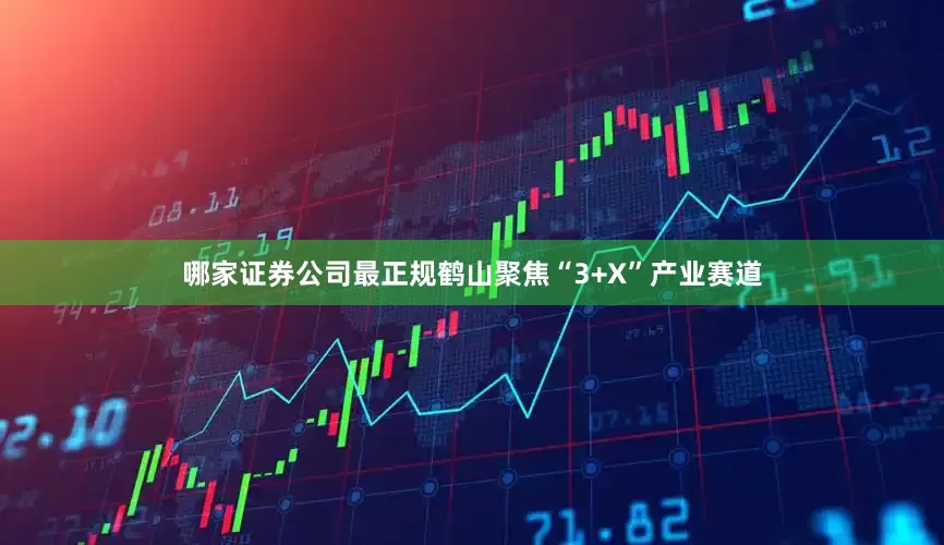 哪家证券公司最正规鹤山聚焦“3+X”产业赛道