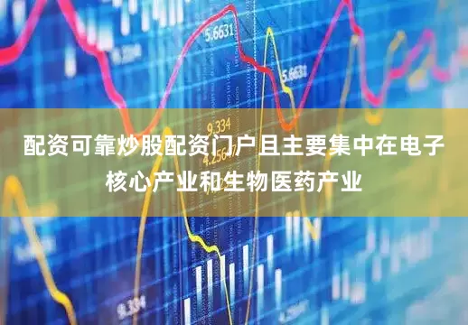 配资可靠炒股配资门户且主要集中在电子核心产业和生物医药产业