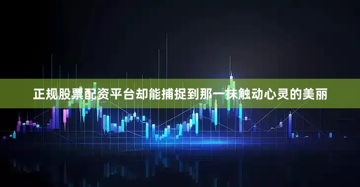 正规股票配资平台却能捕捉到那一抹触动心灵的美丽
