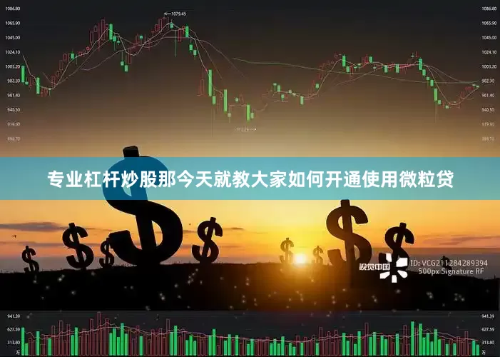 专业杠杆炒股那今天就教大家如何开通使用微粒贷