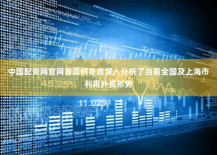 中国配资网官网首页何冬宾深入分析了当前全国及上海市利用外资形势