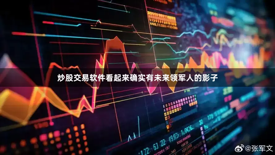 炒股交易软件看起来确实有未来领军人的影子