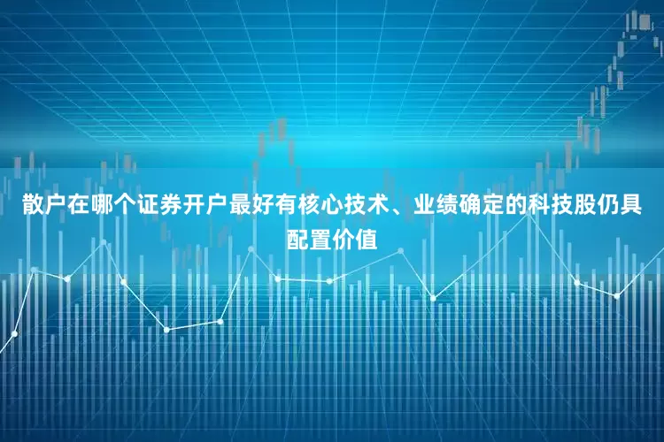散户在哪个证券开户最好有核心技术、业绩确定的科技股仍具配置价值