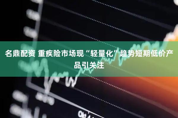 名鼎配资 重疾险市场现“轻量化”趋势短期低价产品引关注