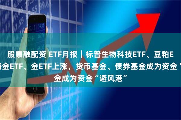 股票融配资 ETF月报｜标普生物科技ETF、豆粕ETF、上海金ETF、金ETF上涨，货币基金、债券基金成为资金“避风港”