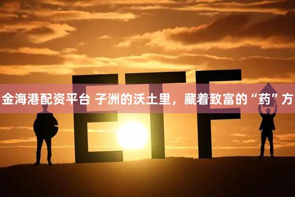 金海港配资平台 子洲的沃土里，藏着致富的“药”方
